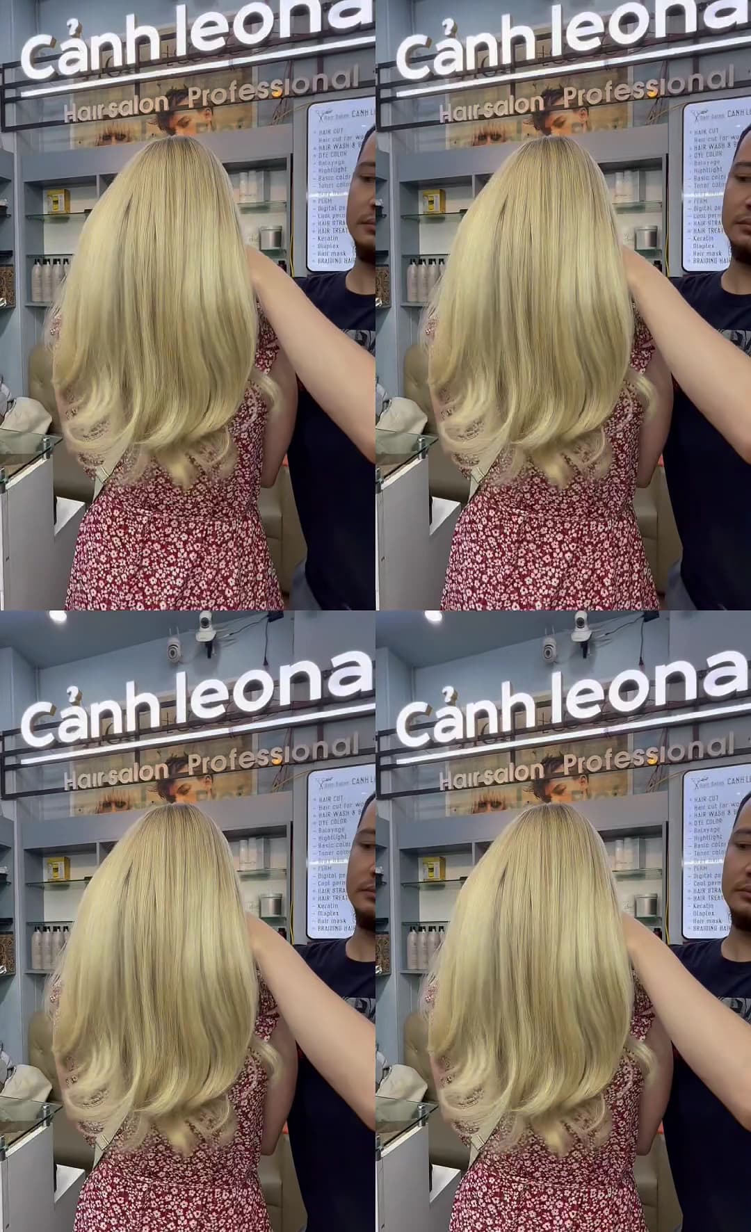 Hair dye Phủ bạc
